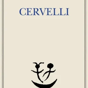 Cervelli Direttamente Dal Produttore