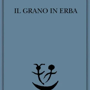 Prezzo Di Fabbrica Il grano in erba