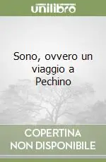Miglior Prezzo Sono, ovvero un viaggio a Pechino
