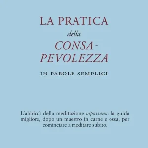 La pratica della consapevolezza. In parole semplici Offerta