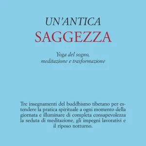 Offerta Speciale Un‘antica saggezza. Yoga del sogno, meditazione e trasformazione