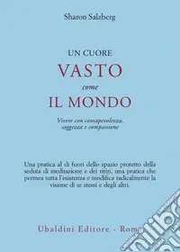 Un cuore vasto come il mondo. Vivere con consapevolezza, saggezza e compassione Miglior Prezzo
