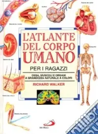 L‘atlante del corpo umano per i ragazzi. Ossa, muscoli e organi a grandezza naturale a colori Occasione Imperdibile