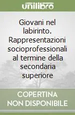 Promo Stagionale Giovani nel labirinto. Rappresentazioni socioprofessionali al termine della secondaria superiore