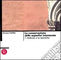 Spedizione Espresso La conservazione delle superfici intonacate. Il metodo e le tecniche