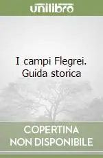 I campi Flegrei. Guida storica Compra Oggi Stesso