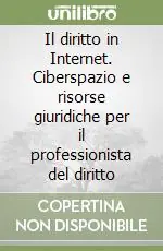 Il diritto in Internet. Ciberspazio e risorse giuridiche per il professionista del diritto Prezzo Scontato
