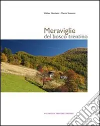 Meraviglie del bosco trentino. Ediz. illustrata Solo Oggi