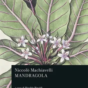Mandragola Ultime Pezzi