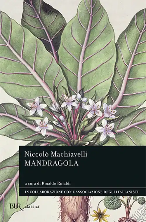 Mandragola Ultime Pezzi