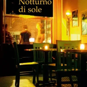Professionale Notturno di sole