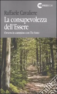 La Consapevolezza dell‘essere. Ovvero in cammino con l‘Io Sono Saldi