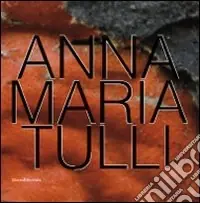 Anna Maria Tulli. Catalogo della mostra (Milano, 21 giugno-24 luglio 2010). Ediz. illustrata Più Venduto