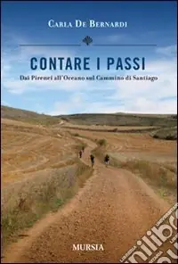 Contare i passi. Dai Pirenei all‘Oceano sul cammino di Santiago Più Venduto
