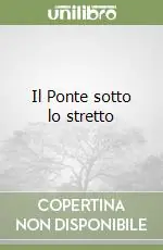 Il Ponte sotto lo stretto Non Perdere