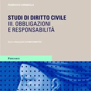 Occasione Studi di diritto civile. Vol. 3 Obbligazioni e responsabilità