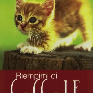 Affare Riempimi di coccole. Parole di tenerezza e di gioia