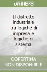 Solo Oggi Il distretto industriale tra logiche di impresa e logiche di sistema