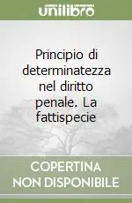 Principio di determinatezza nel diritto penale. La fattispecie Solo Oggi