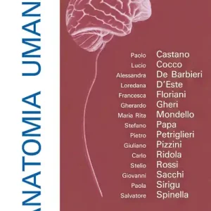 Professionale Anatomia umana