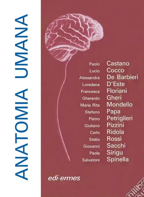 Professionale Anatomia umana