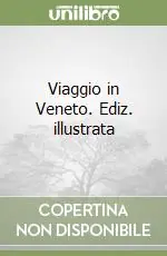 Viaggio in Veneto. Ediz. illustrata Professionale