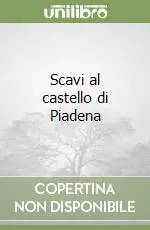 Occasione Imperdibile Scavi al castello di Piadena