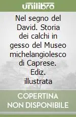 Nel segno del David. Storia dei calchi in gesso del Museo michelangiolesco di Caprese. Ediz. illustrata Compra Online