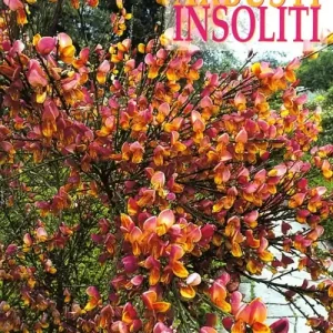 Arbusti insoliti. Ediz. illustrata A Buon Prezzo