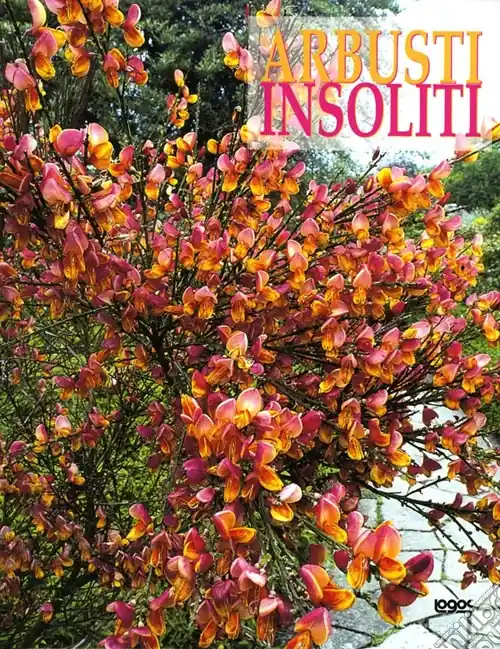 Arbusti insoliti. Ediz. illustrata A Buon Prezzo