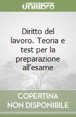 Diritto del lavoro. Teoria e test per la preparazione all‘esame Prezzo Di Fabbrica