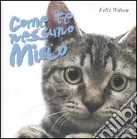 Come te nessuno miao. Ediz. illustrata Solo Oggi