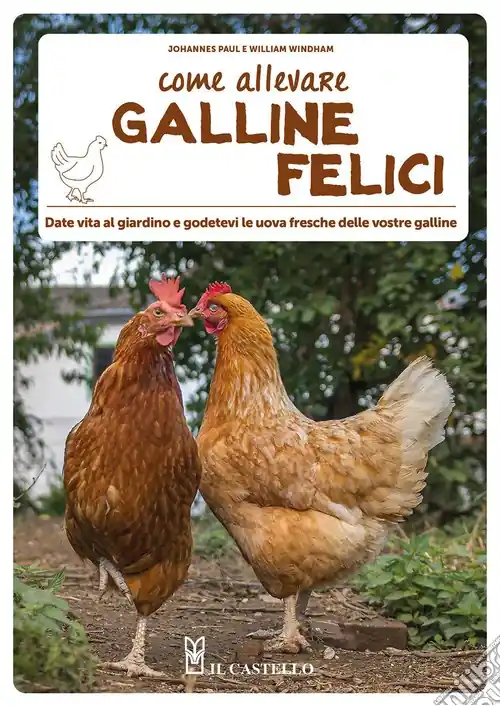 Solo Oggi Come allevare galline felici