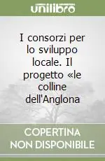 I consorzi per lo sviluppo locale. Il progetto «le colline dell‘Anglona Offerta Lampo