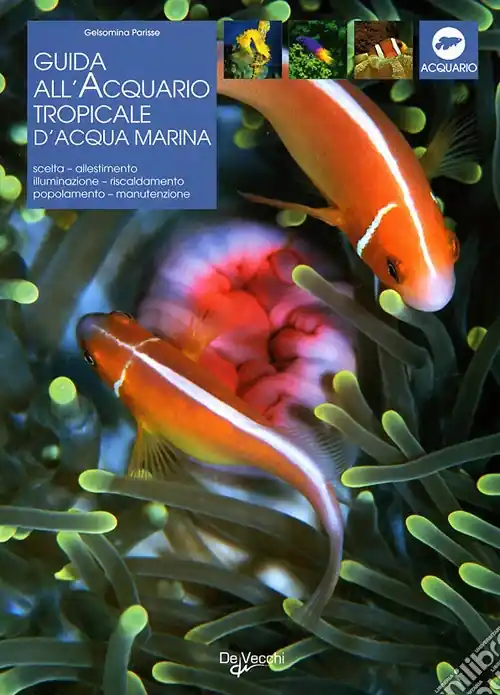 Acquario tropicale d‘acqua marina Novità