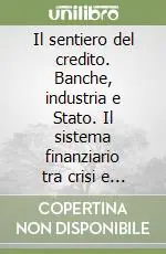 Il sentiero del credito. Banche, industria e Stato. Il sistema finanziario tra crisi e sviluppo (1893-1936) Popolare