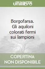 Borgofarsa. Gli aquiloni colorati fermi sui lampioni Solo Oggi