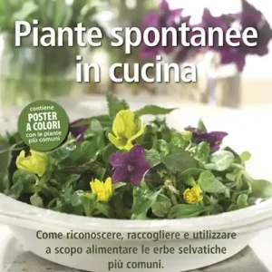 Piante spontanee in cucina. Come riconoscere, raccogliere e utilizzare a scopo alimentare le erbe selvatiche più comuni. Ediz. illustrata Compra Adesso
