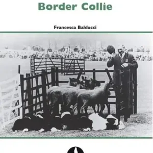 Subito Disponibile Il libro del Border Collie