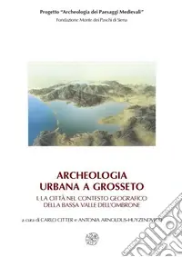 Prezzo Ridotto Archeologia urbana a Grosseto La città nel contesto geografico della bassa valle dell‘Ombrone-Edizione degli scavi urbani 1998-2005