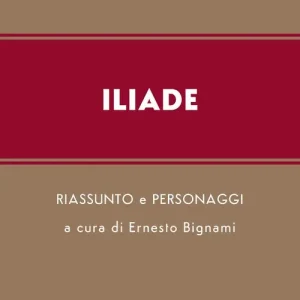Iliade. Riassunto e personaggi dell‘opera Prezzo Basso