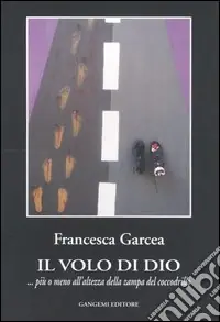 Il volo di Dio ... più o meno all‘altezza della zampa del coccodrillo Non Perdere