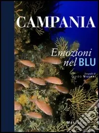 Popolare Campania. Emozioni nel blu