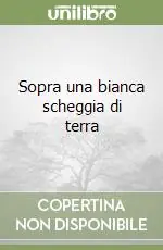 Offerta Del Giorno Sopra una bianca scheggia di terra