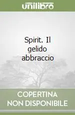 Pagamento Sicuro Spirit. Il gelido abbraccio