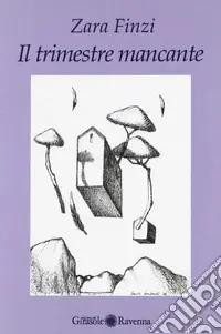 Il trimestre mancante Promozione