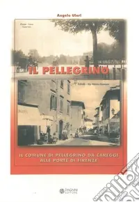 Economico Il Pellegrino. Il comune di Pellegrino da Careggi alle porte di Firenze