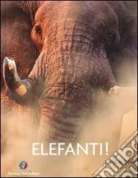 Prezzo Di Fabbrica Elefanti!