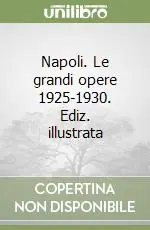 Professionale Napoli. Le grandi opere 1925-1930. Ediz. illustrata