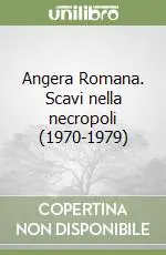 Pagamento Sicuro Angera Romana. Scavi nella necropoli (1970-1979)